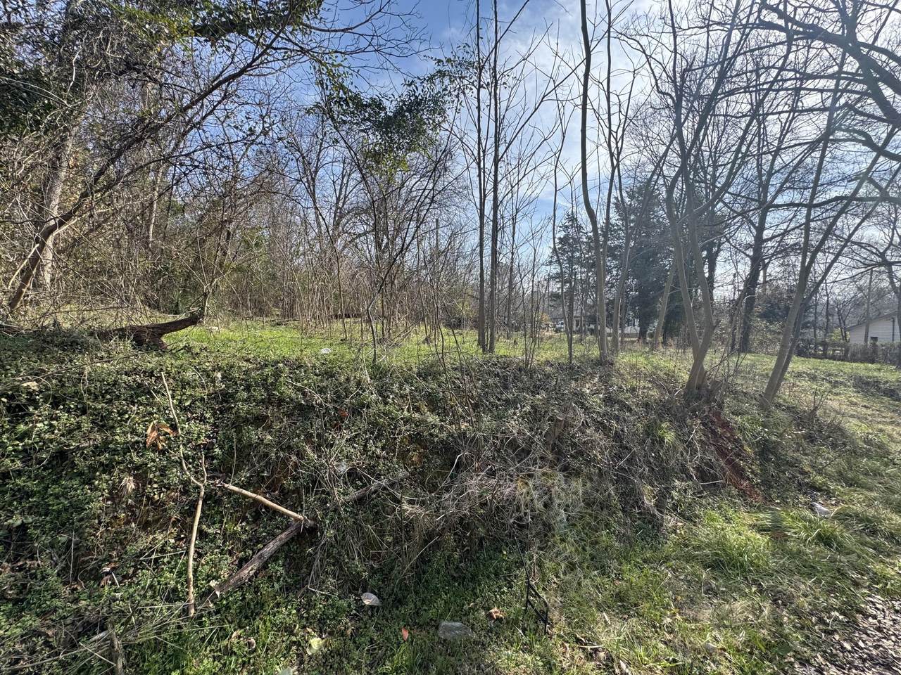 203 Peter Street - Photo 1