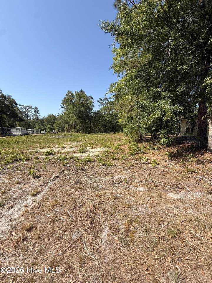 1748 Carolina 53 - Photo 1