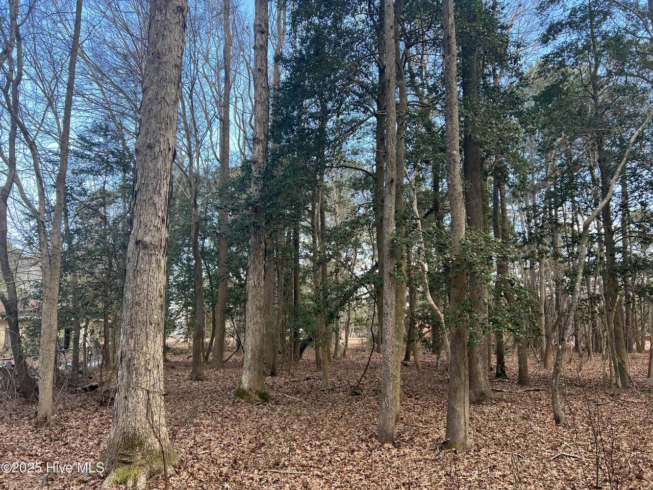 0 Bridgersville Road - Photo 1