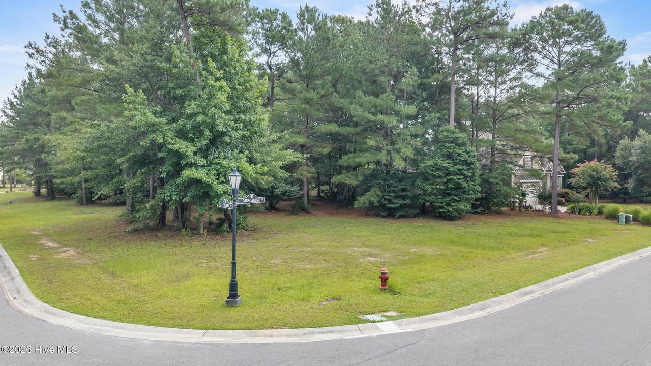 154 Muscadine Trail - Photo 1