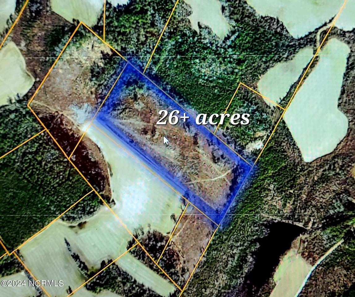 2 Harrells Highway - Photo 1
