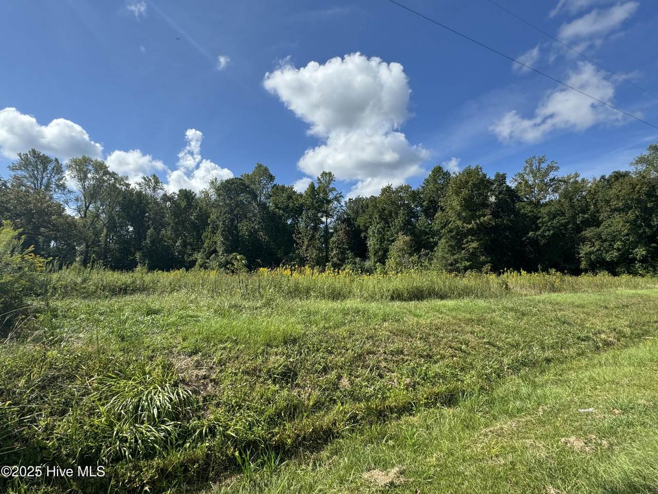 4073 Possum Track Road - Photo 1