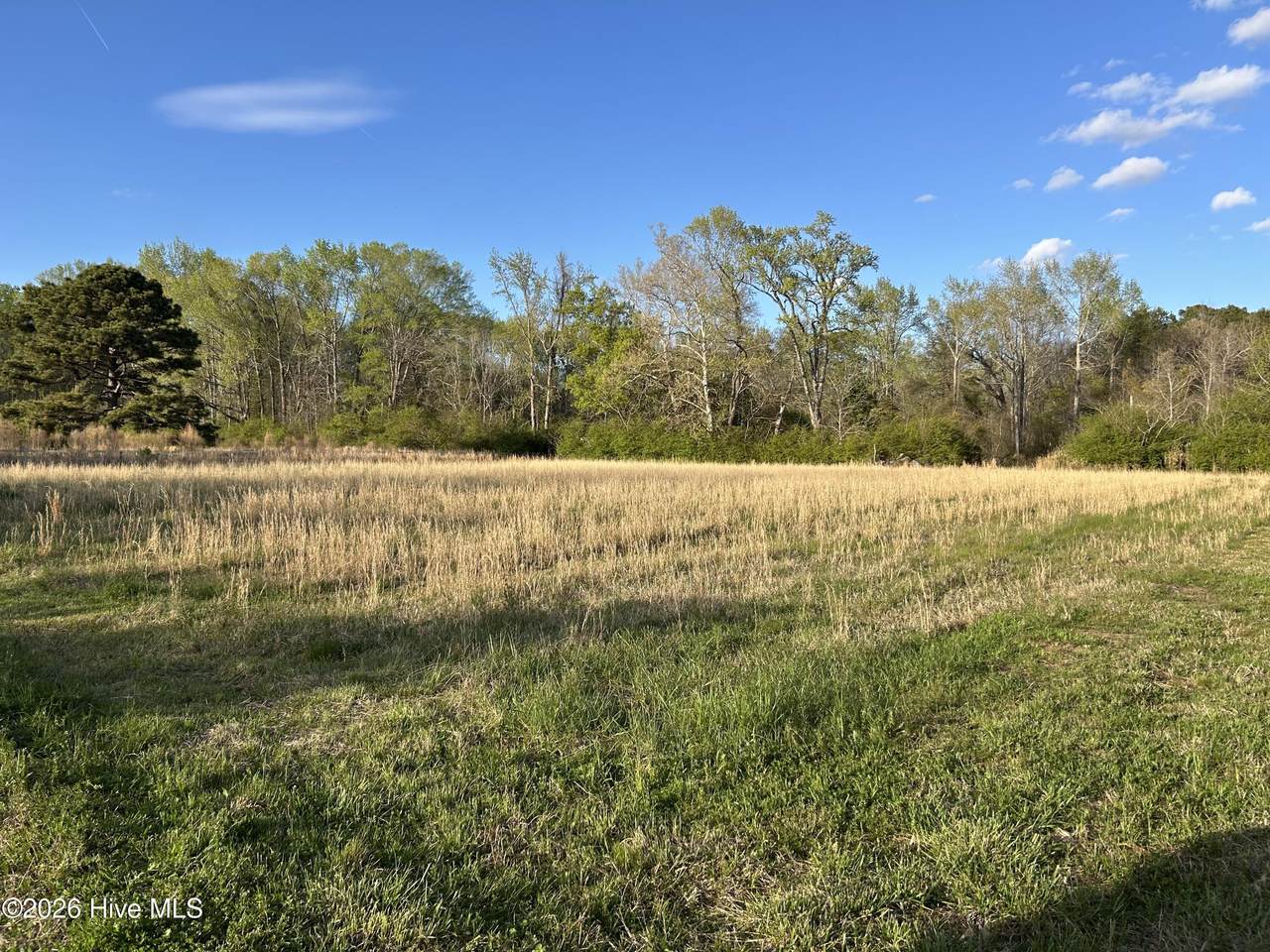 2114 John Hill Lane - Photo 1