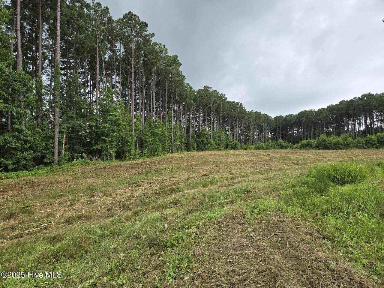 Lot 50 Roseheath Court - Photo 1
