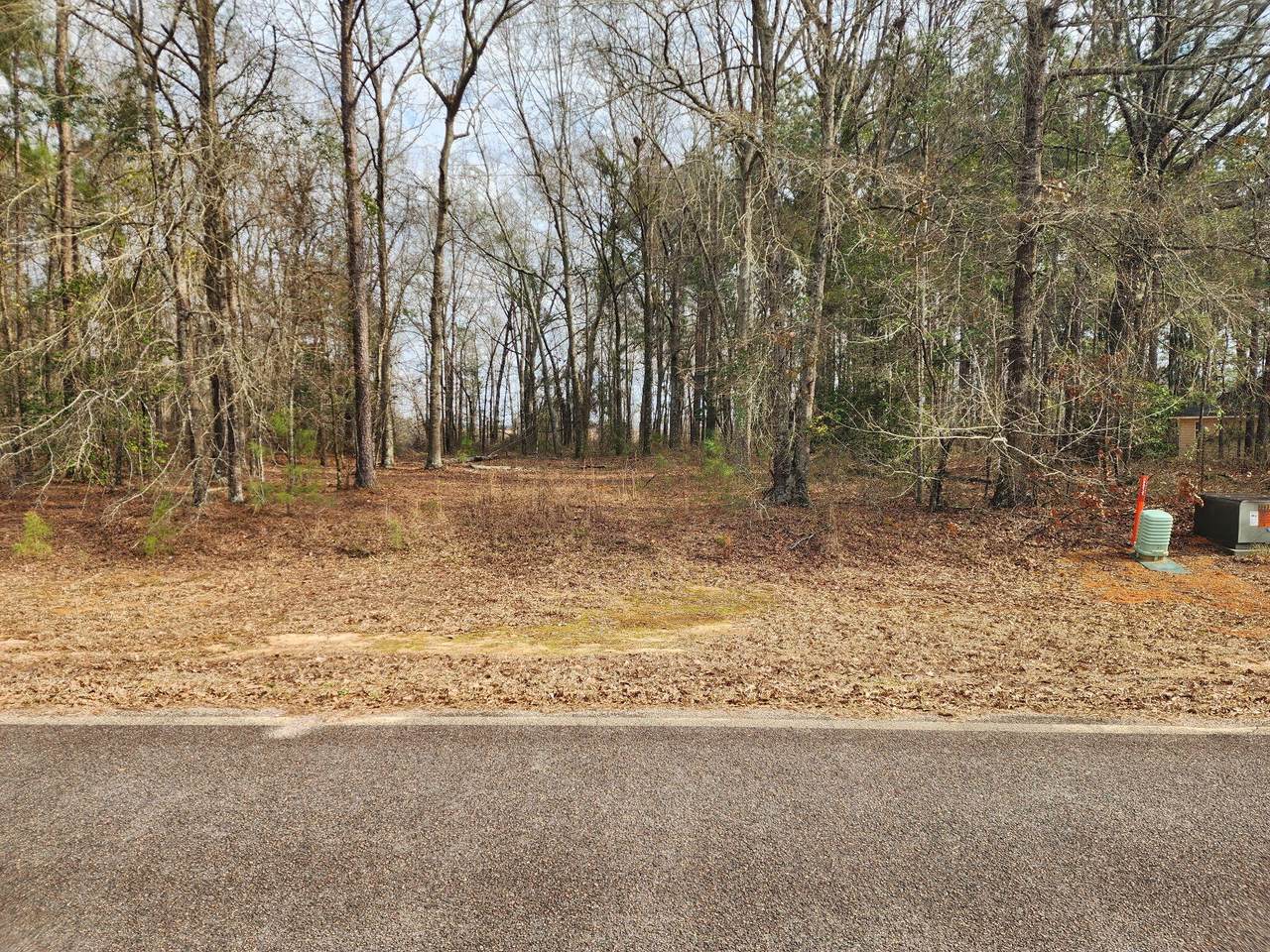 0 Cason Creek Subd - Photo 1