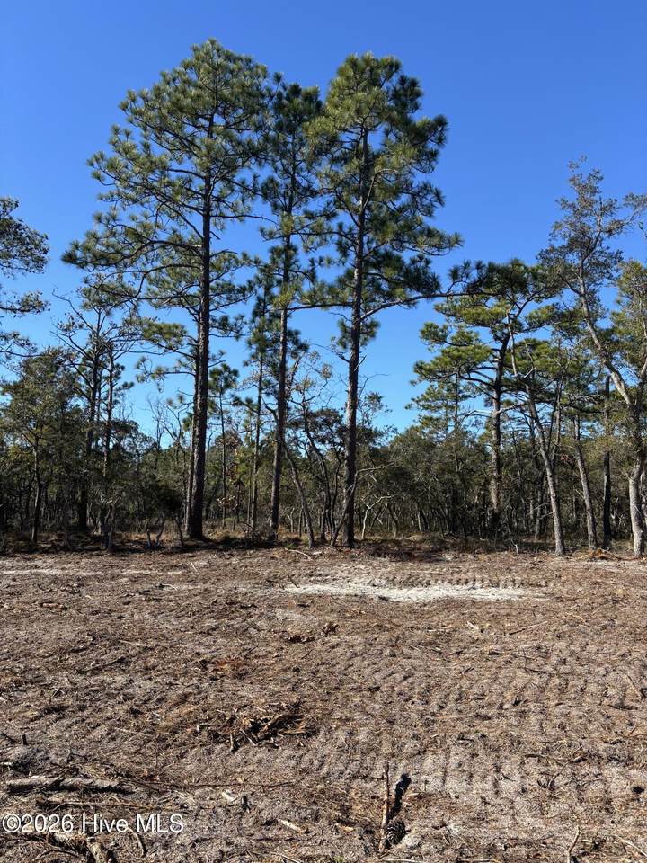 Lot 210 Fletcher Key Street - Photo 1