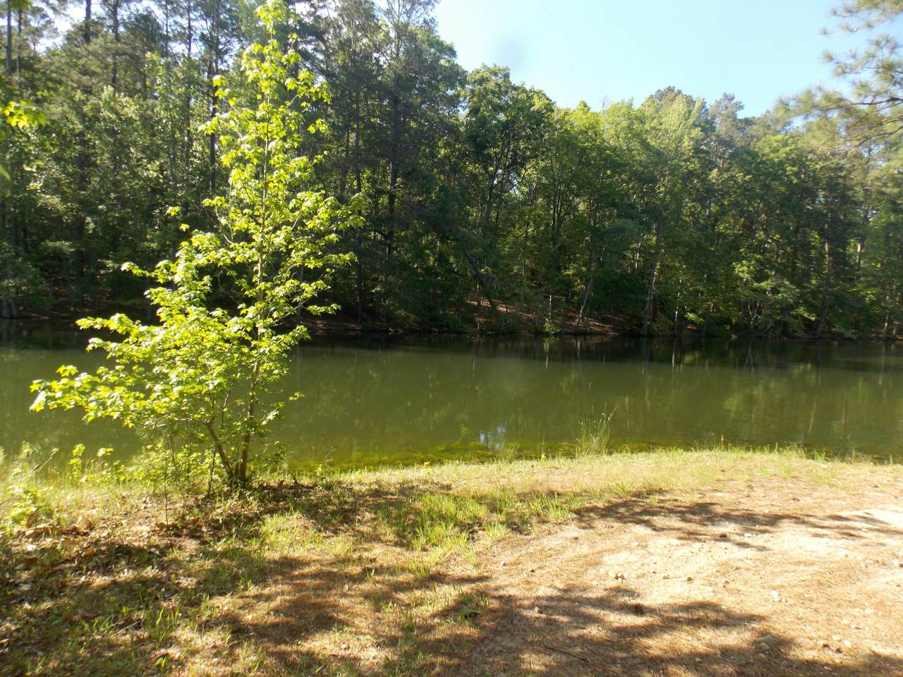 12 Riverview Court - Photo 1