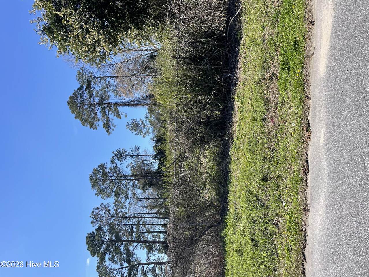 101 Weber Street - Photo 1