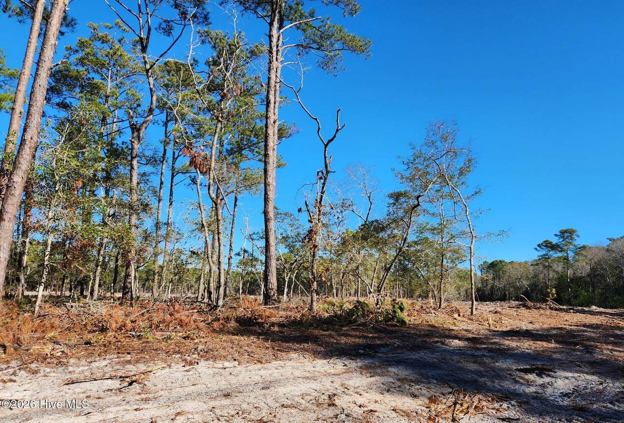 Lot 89 Fletcher Key Street - Photo 1
