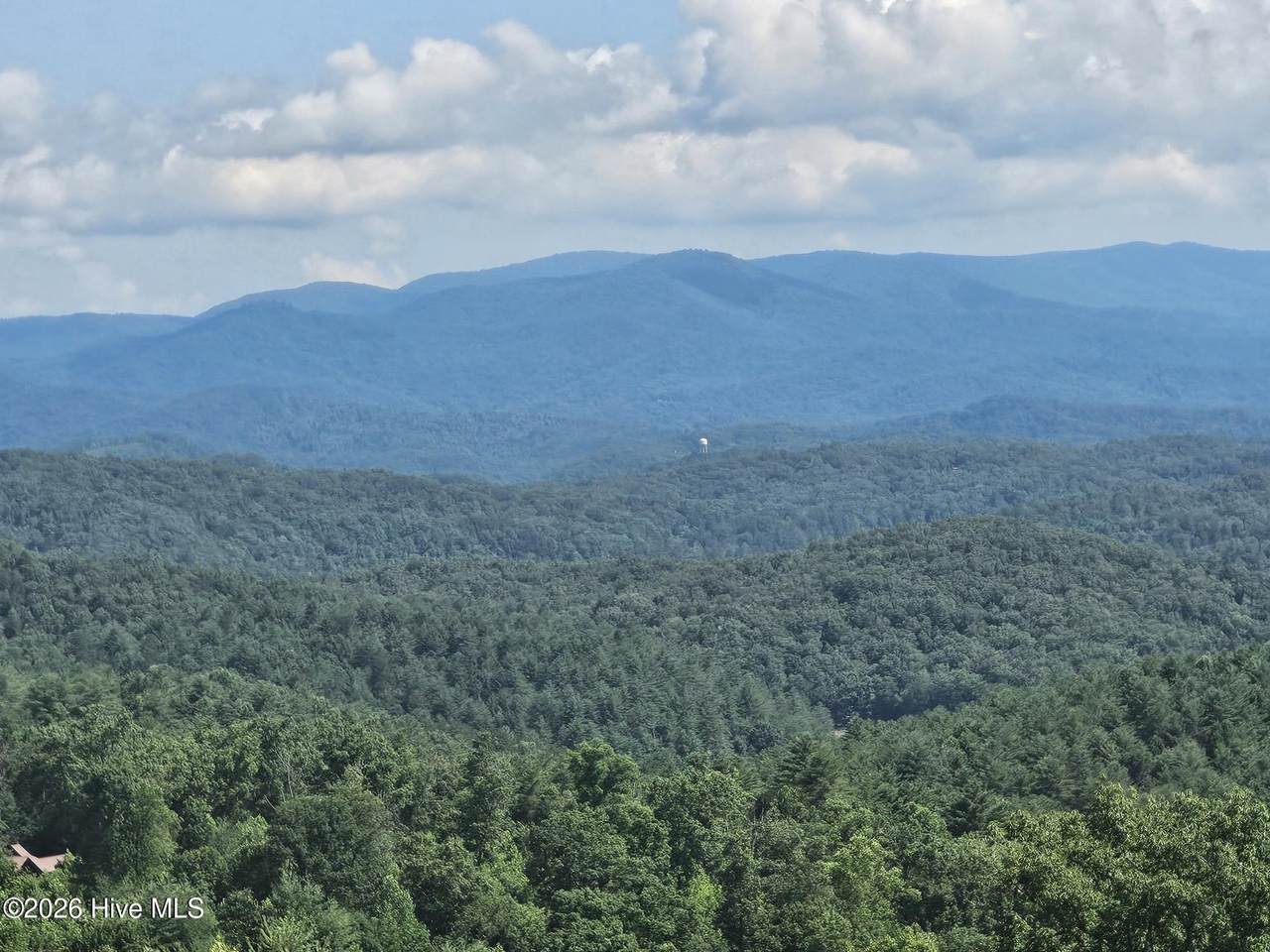 31 Acres Upper Bear Paw Road - Photo 1