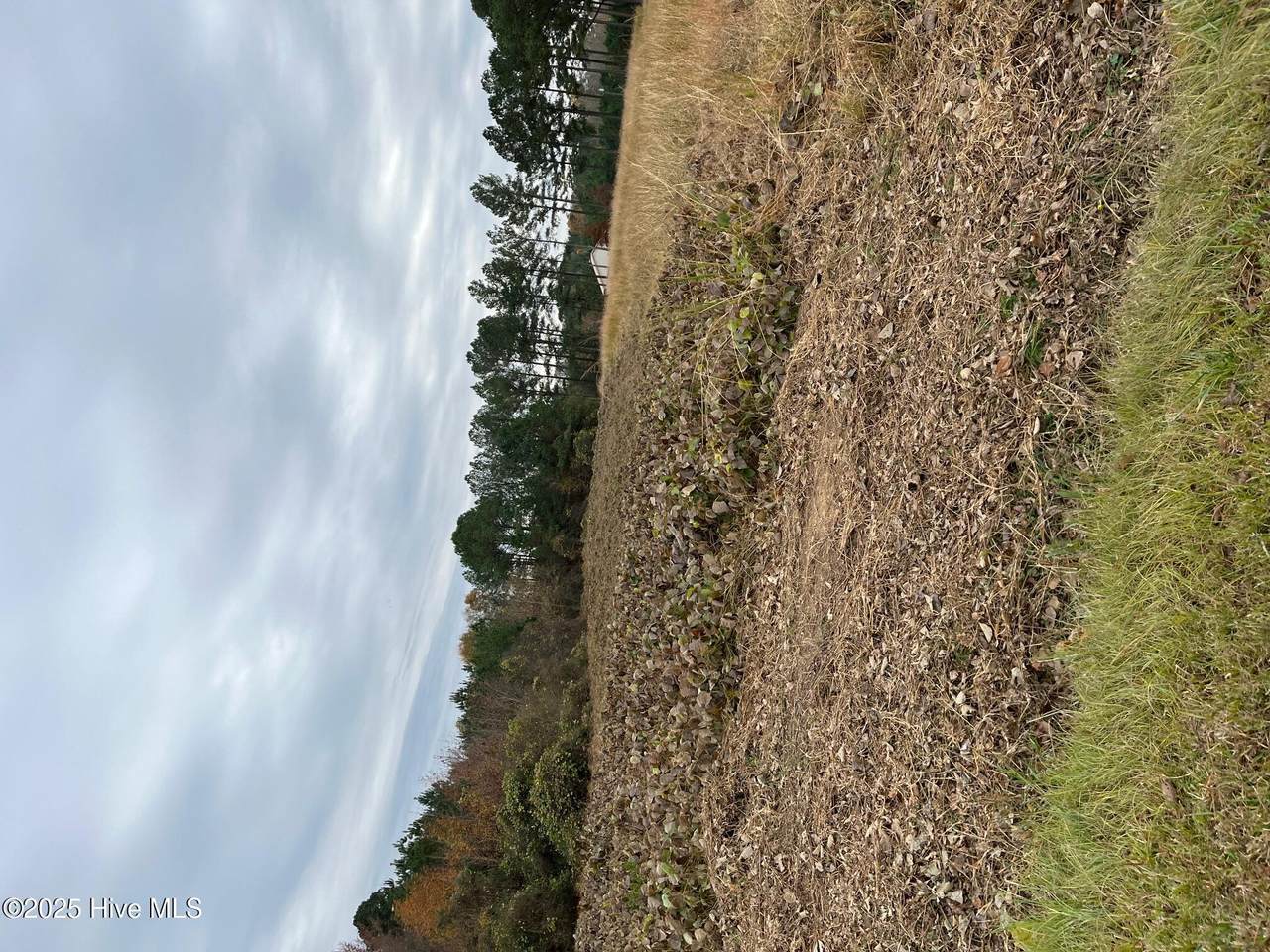 0 Liverman Mill Road - Photo 1