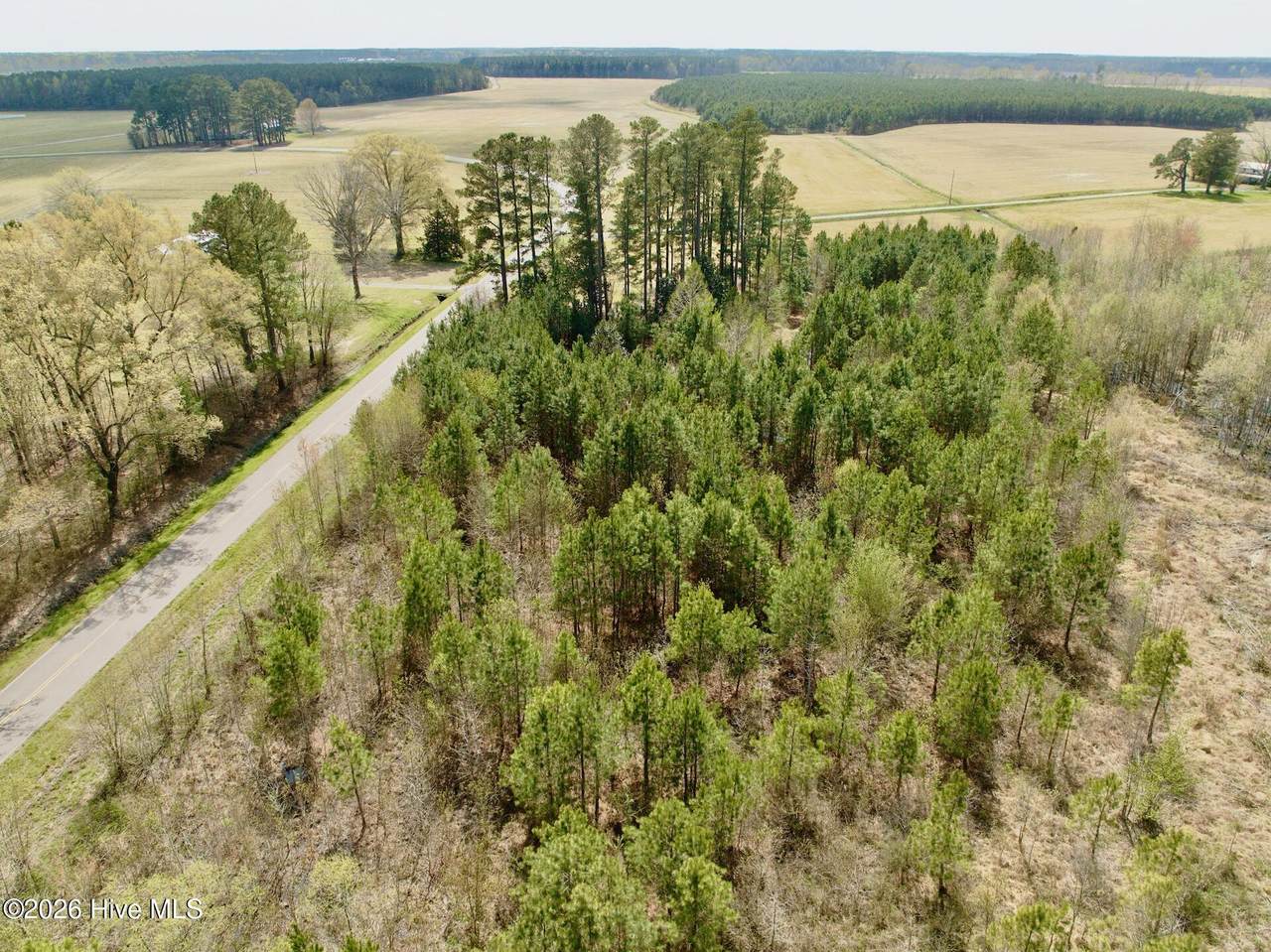 0 Black Mingle Road - Photo 1