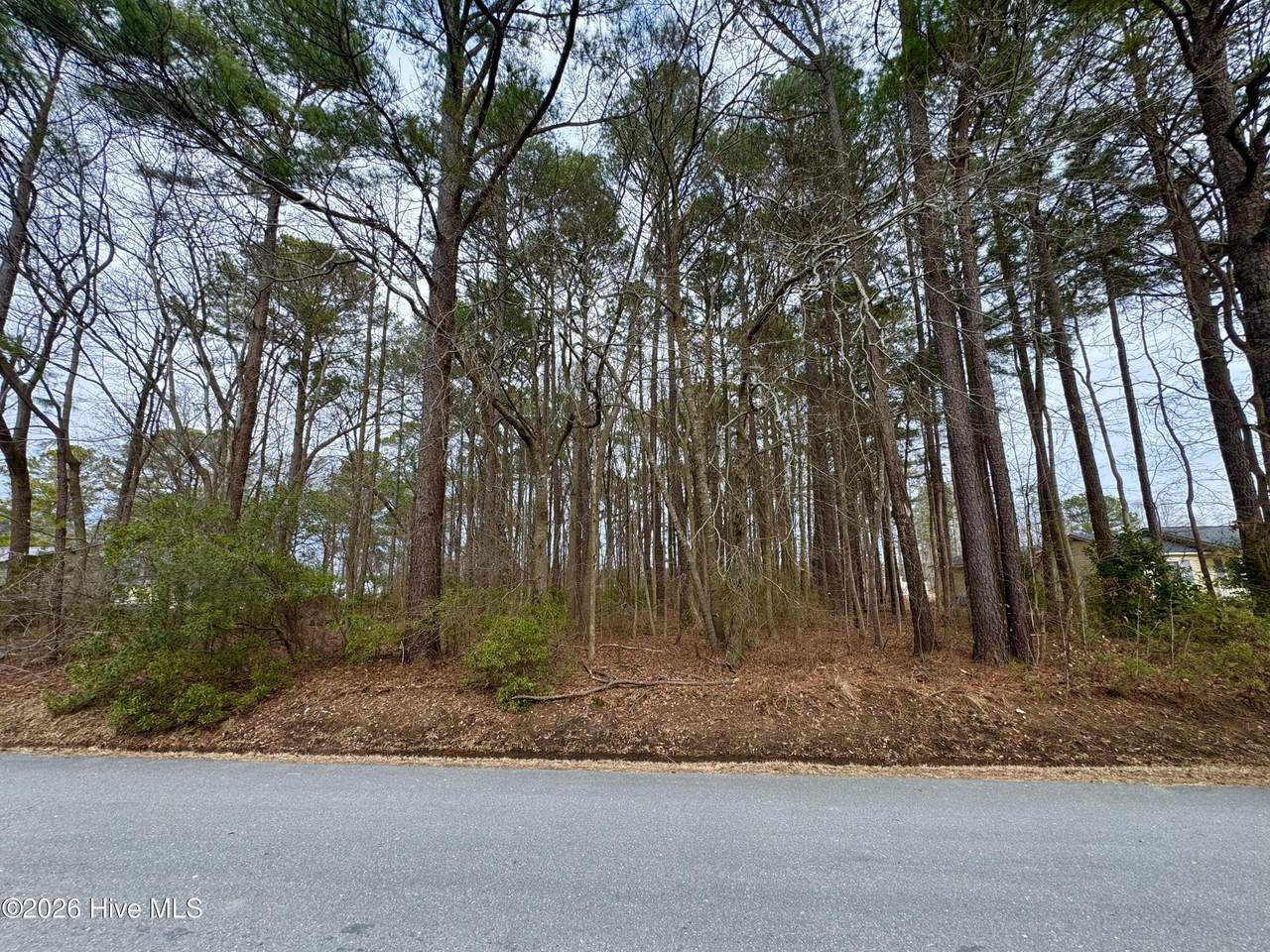 0 Lincoln Drive - Photo 1