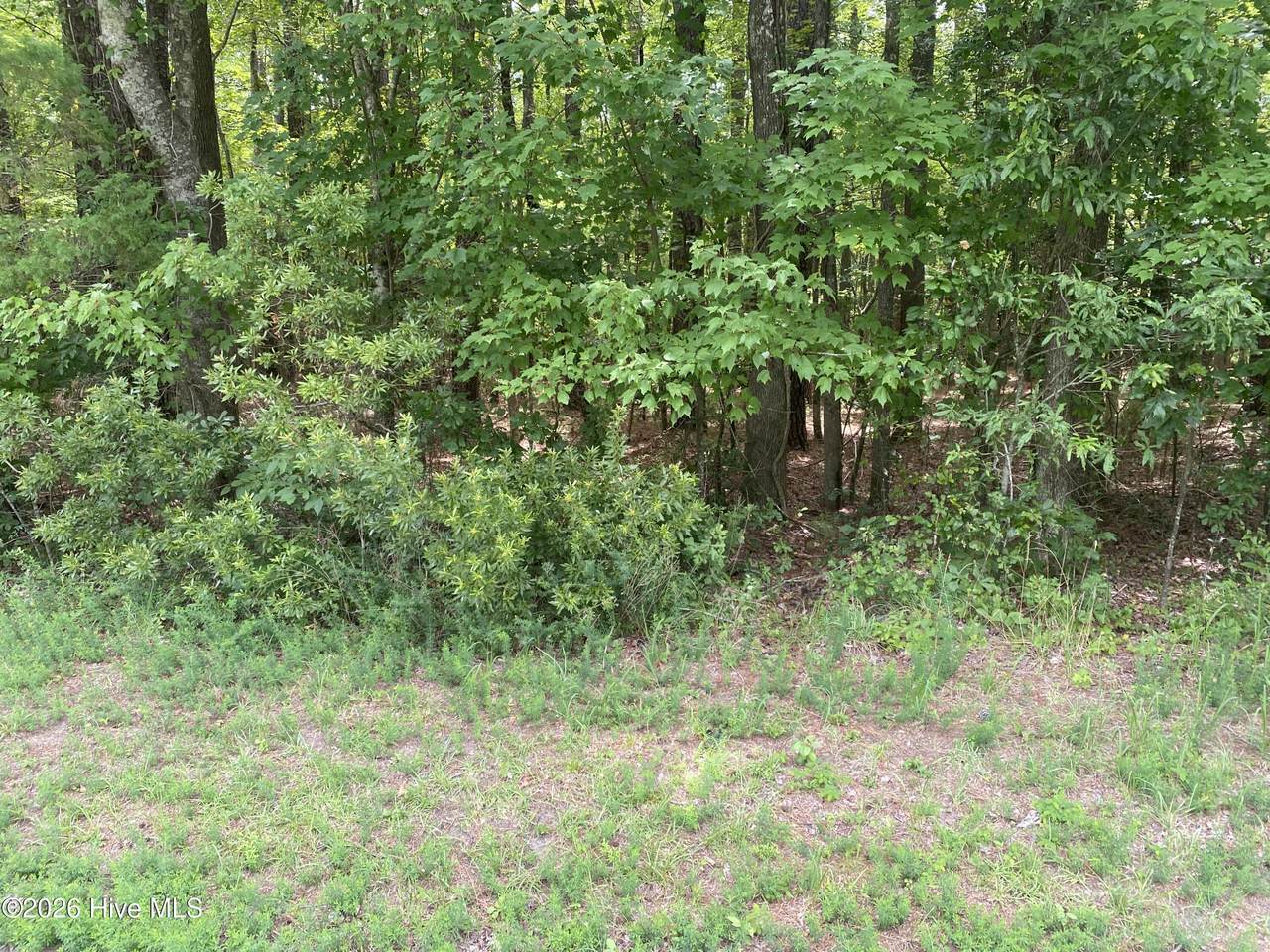 Lot 20 Hollis Drive - Photo 1