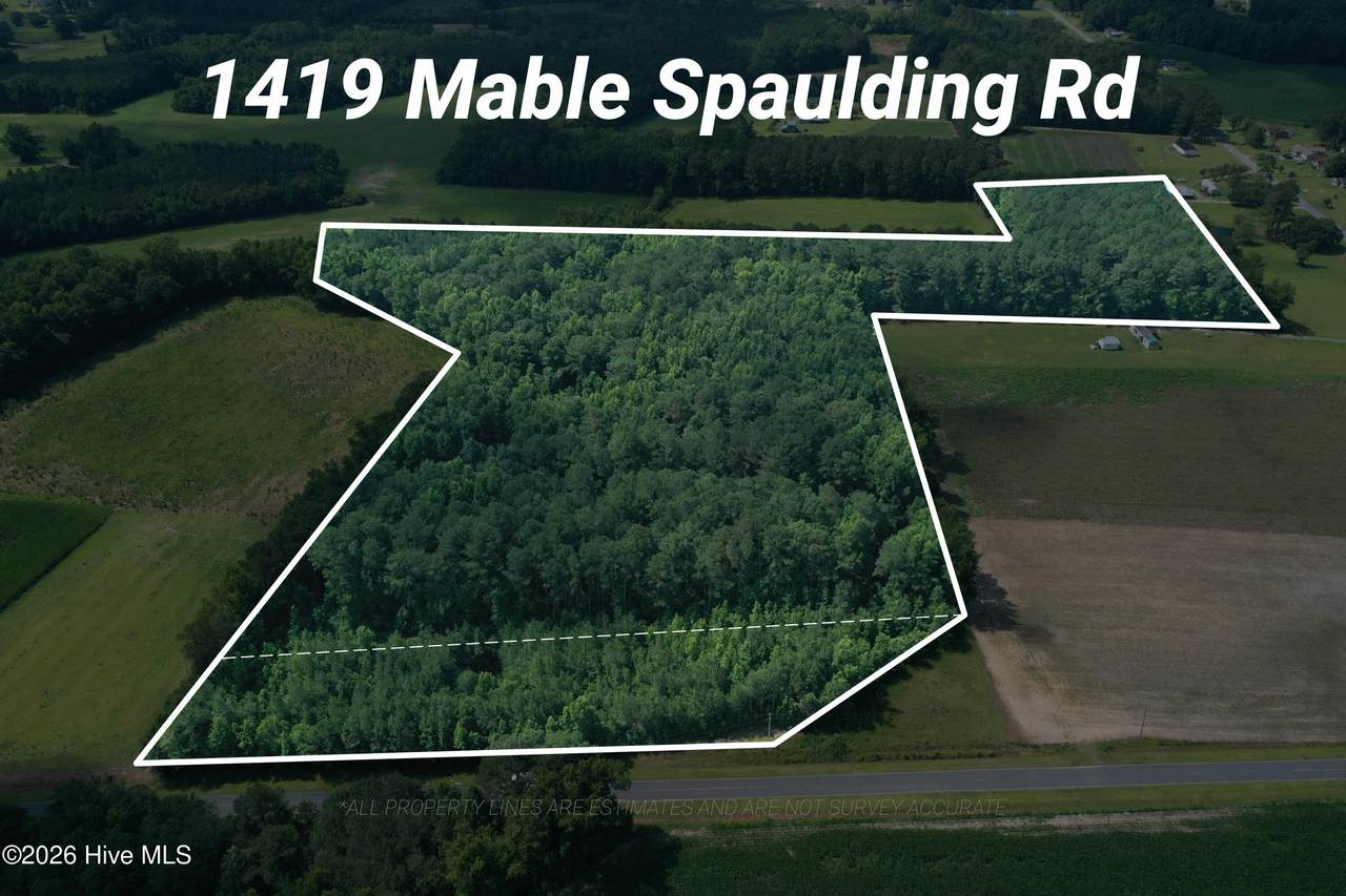 1419 Mable Spaulding Road - Photo 1