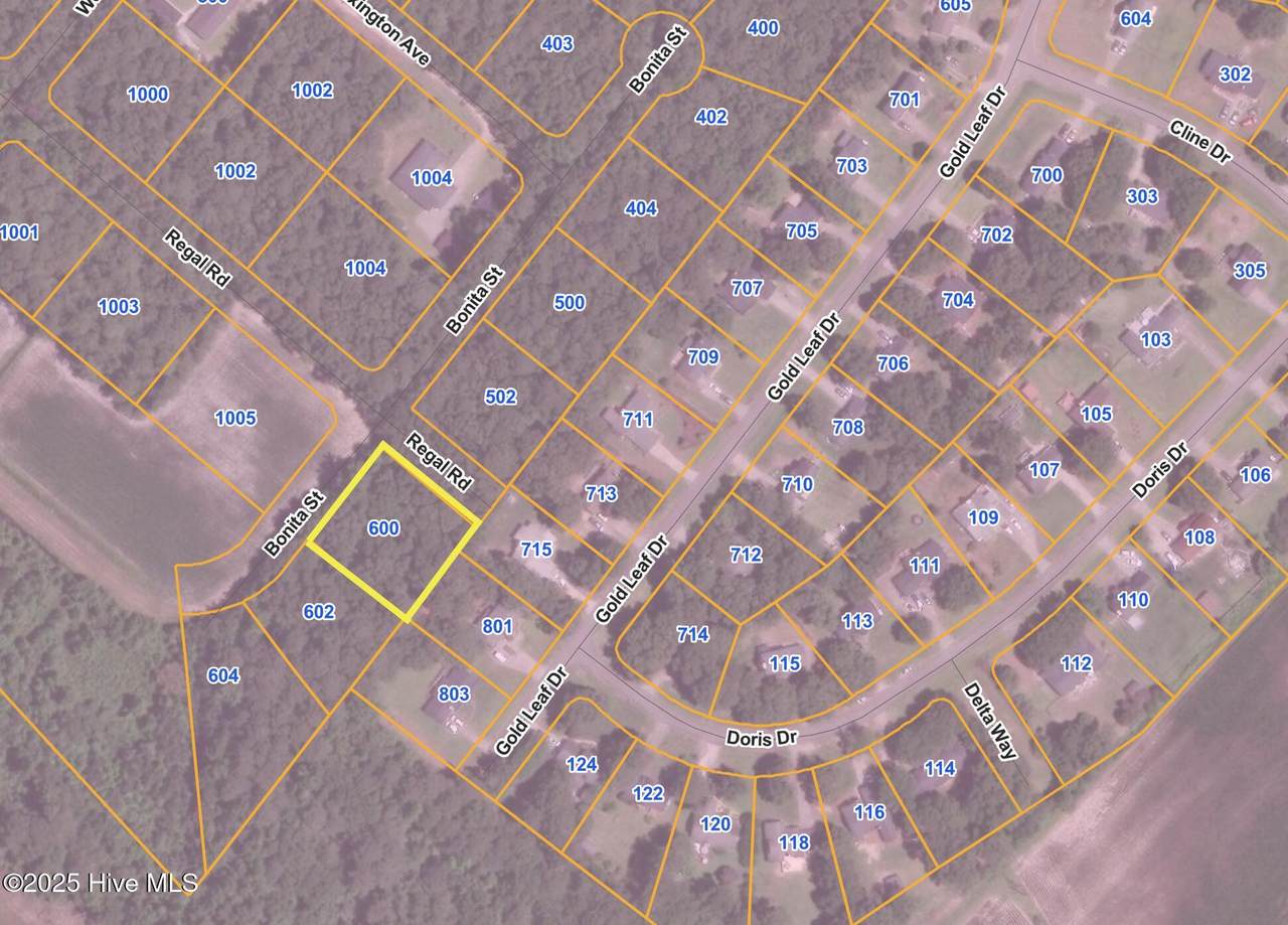 600 Bonita Street - Photo 1