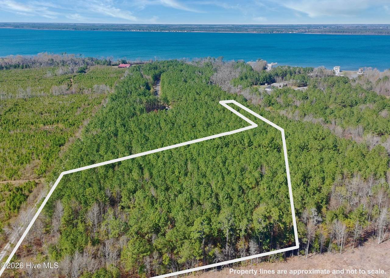 57 Eagle Nest Trail - Photo 1
