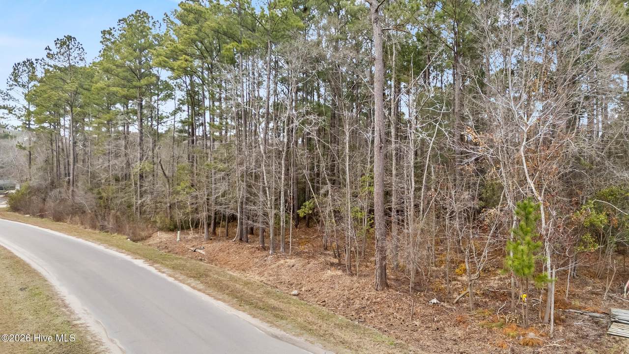 Lot 4 Copperhead Lane - Photo 1