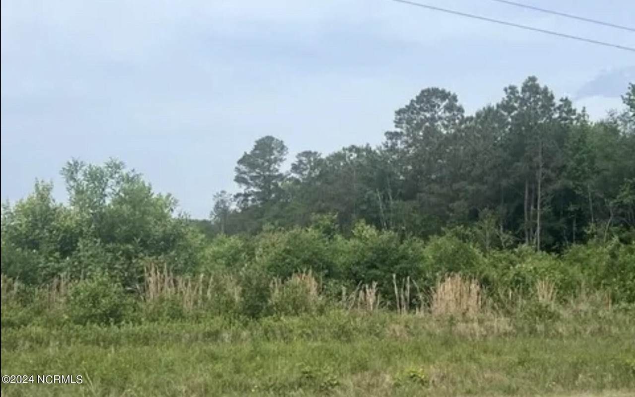 712 Old Kenly Road - Photo 1