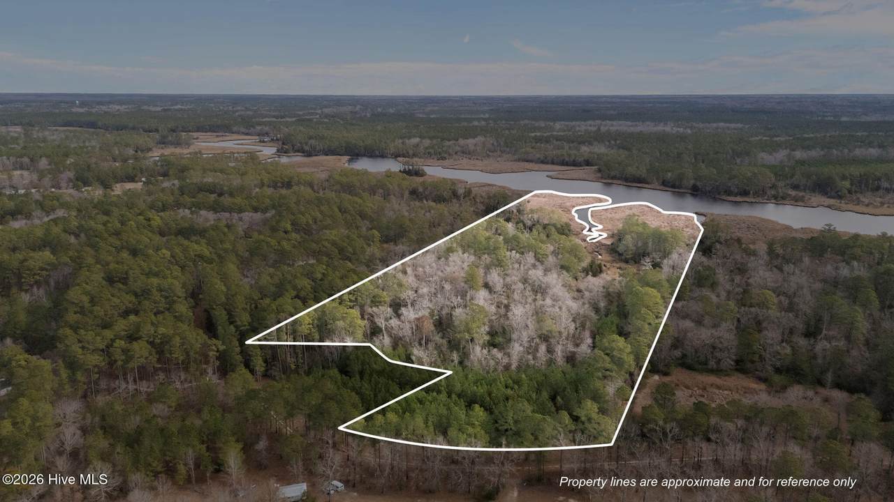 290 Gold Finch Lane - Photo 1