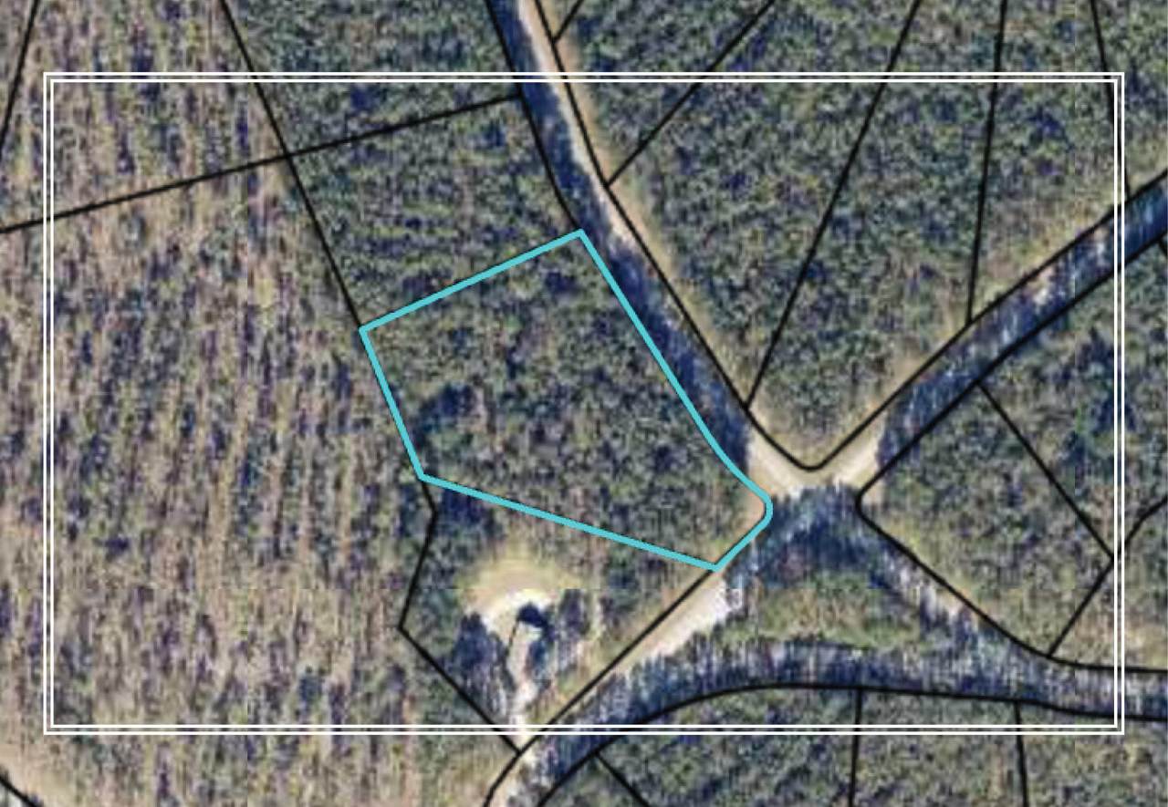 Lot 83A Providence Ferry - Photo 1