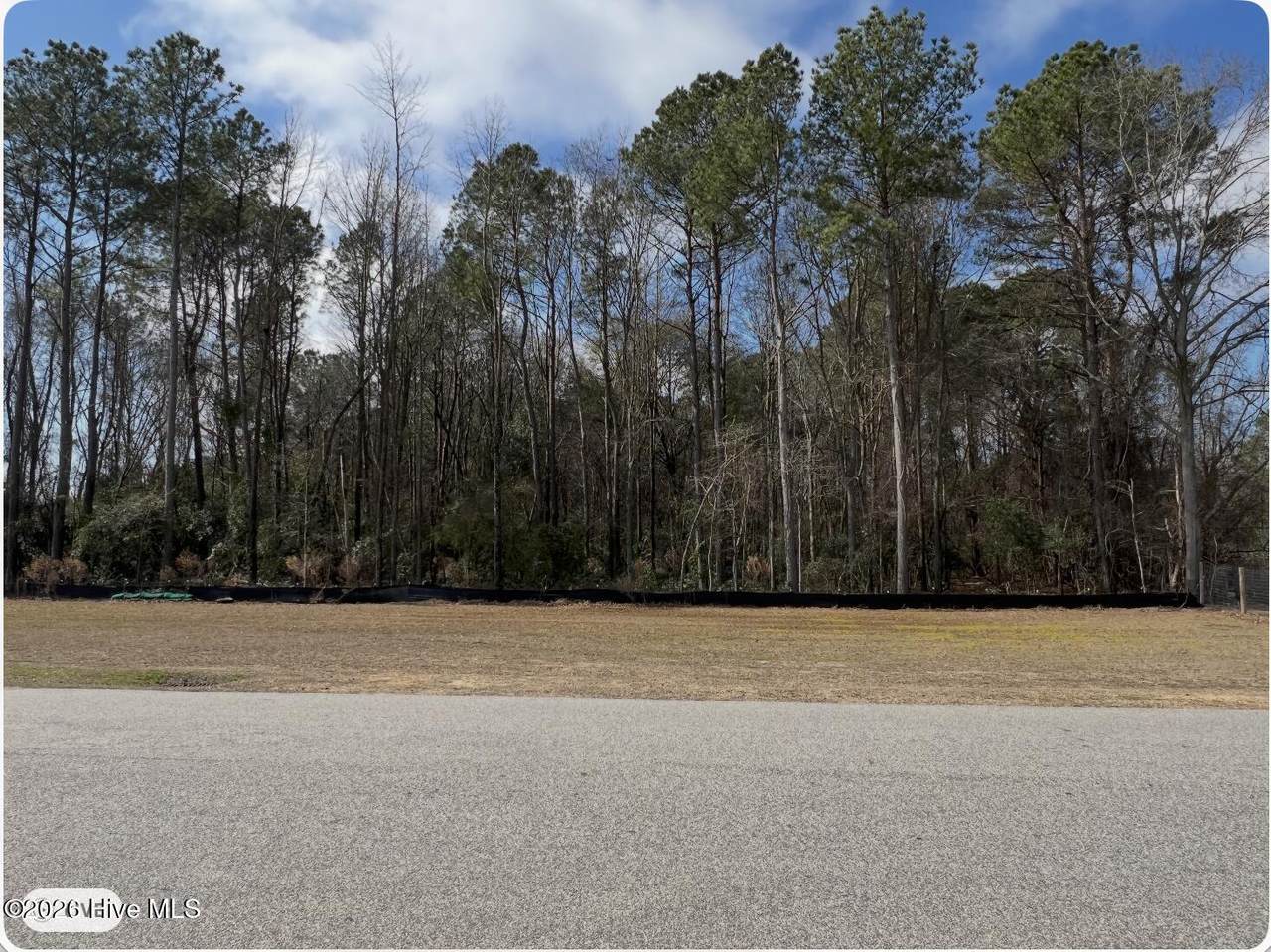 0 Pierce Street - Photo 1