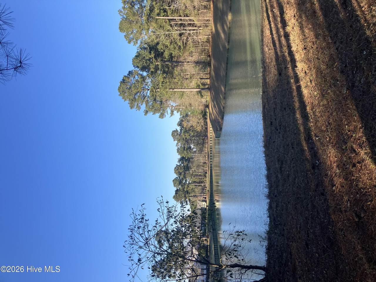 146 Muscadine Trail - Photo 1