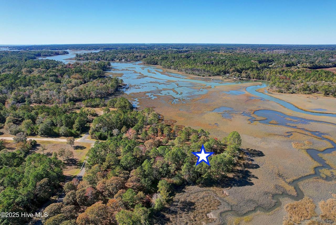 2018 Marsh Acres Court - Photo 1