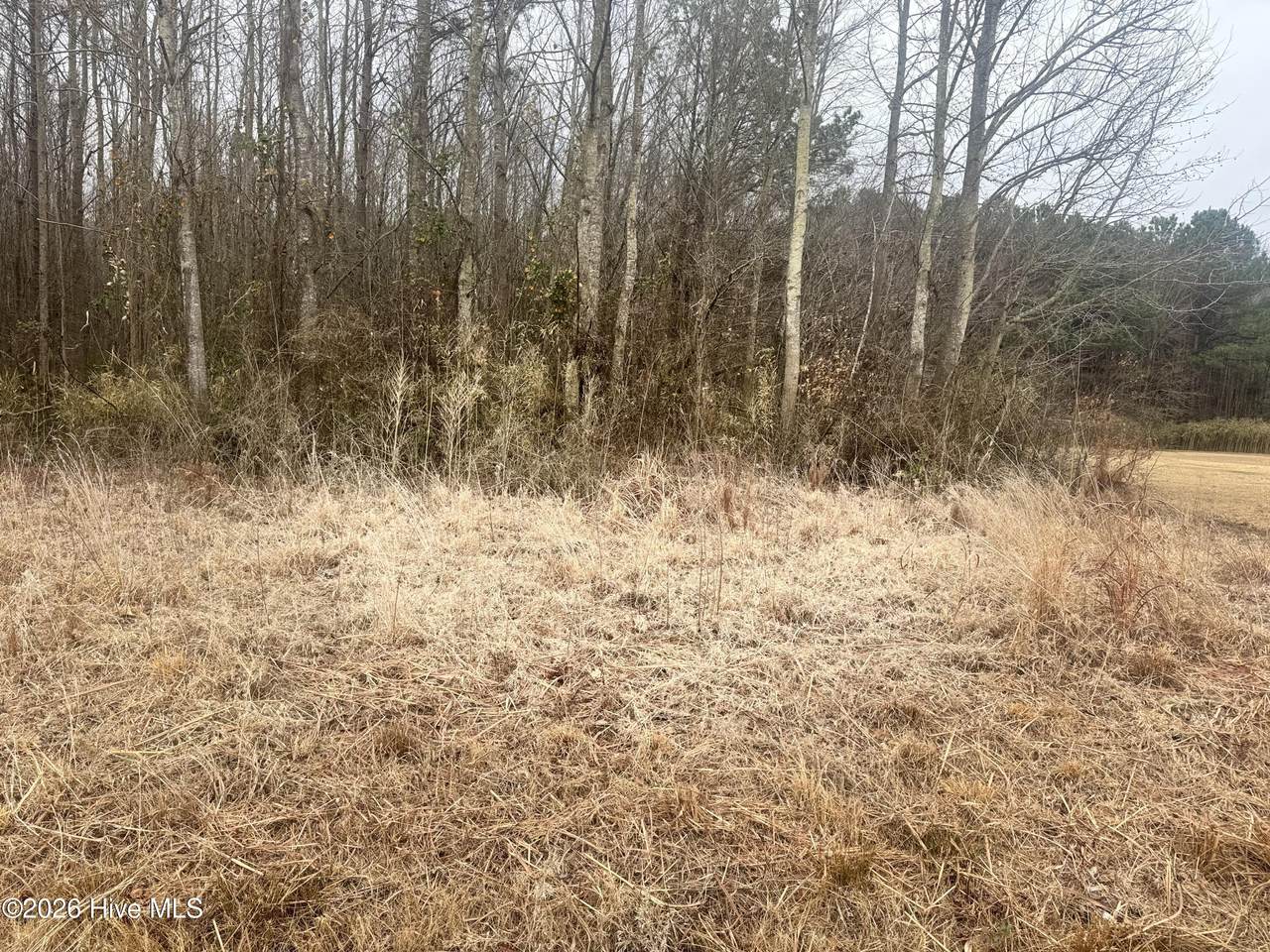 0 Center Hill Highway - Photo 1