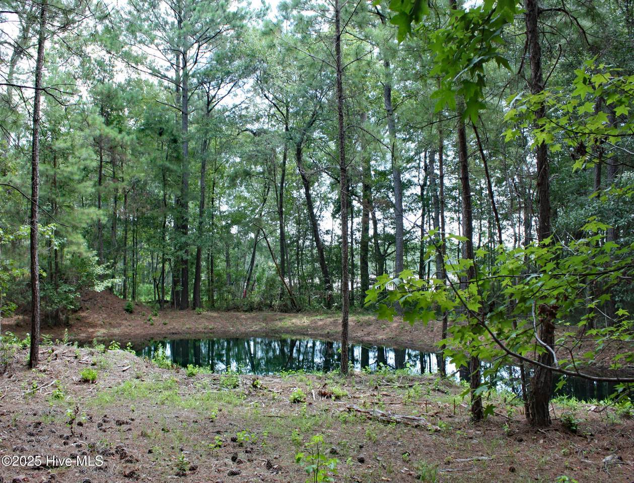 6780 Hanbury Place - Photo 1