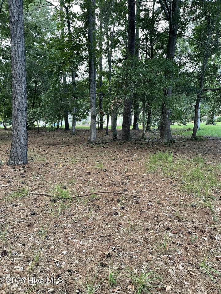 41 Oyster Pointe Drive - Photo 1