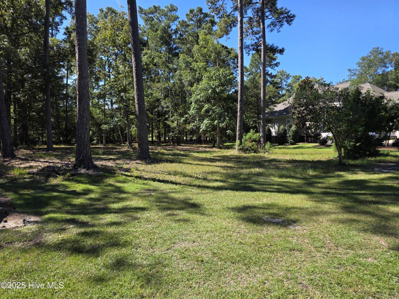 828 Loblolly Drive - Photo 1