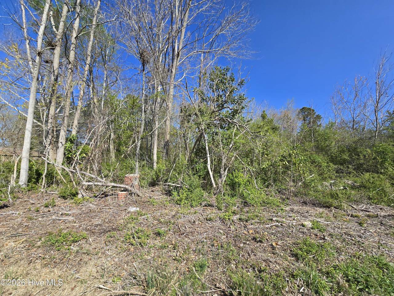 302 Spencers Avenue - Photo 1