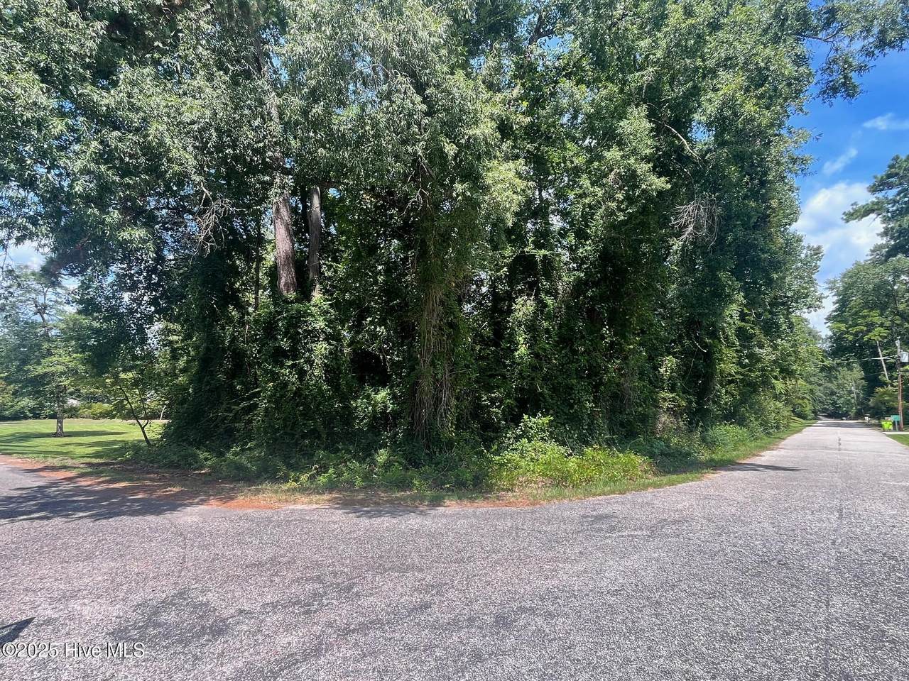 Lot 110 Wildwood Road - Photo 1