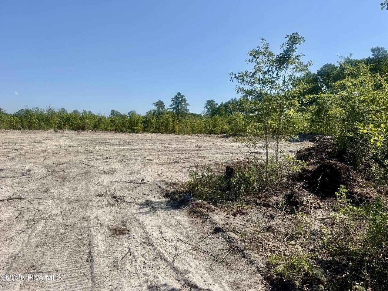 0 Dowd Dairy Road - Photo 1