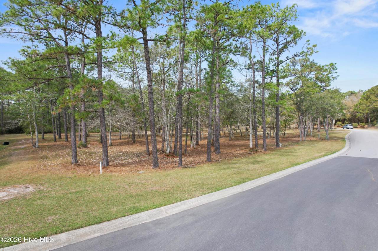 662 Loreauville Drive - Photo 1