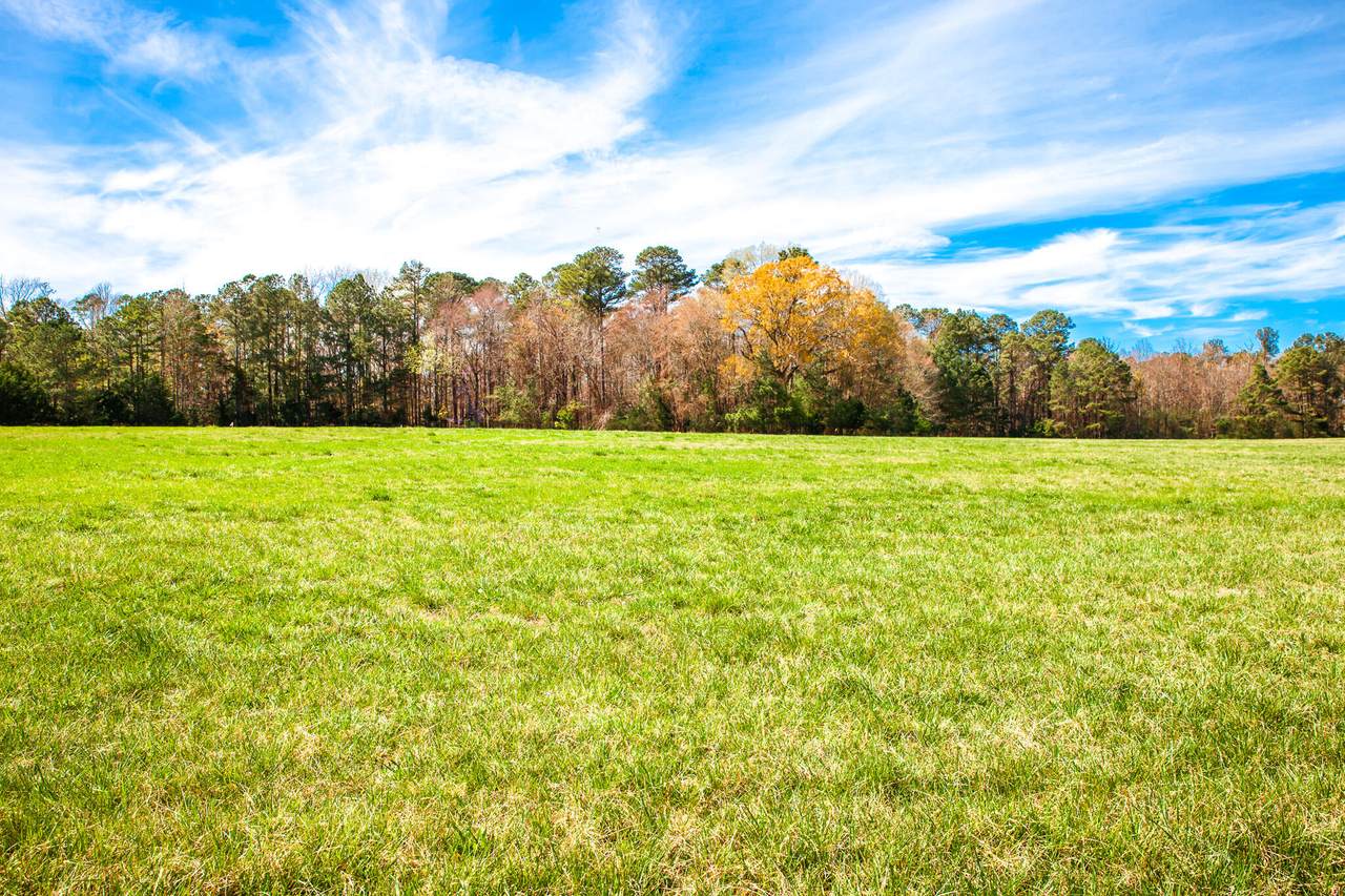 3530 Mistletoe Road - Photo 1