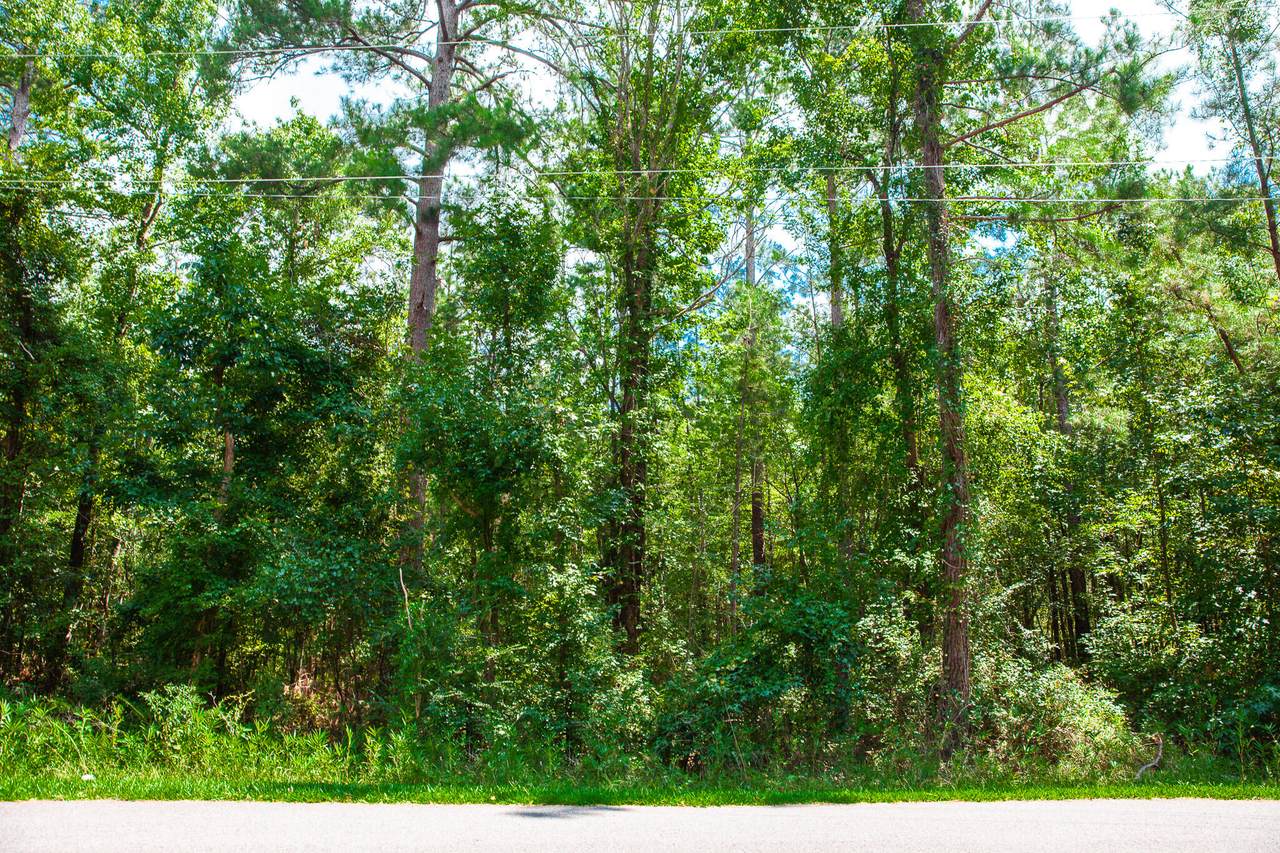Lot 9 Bent Oak Road - Photo 1