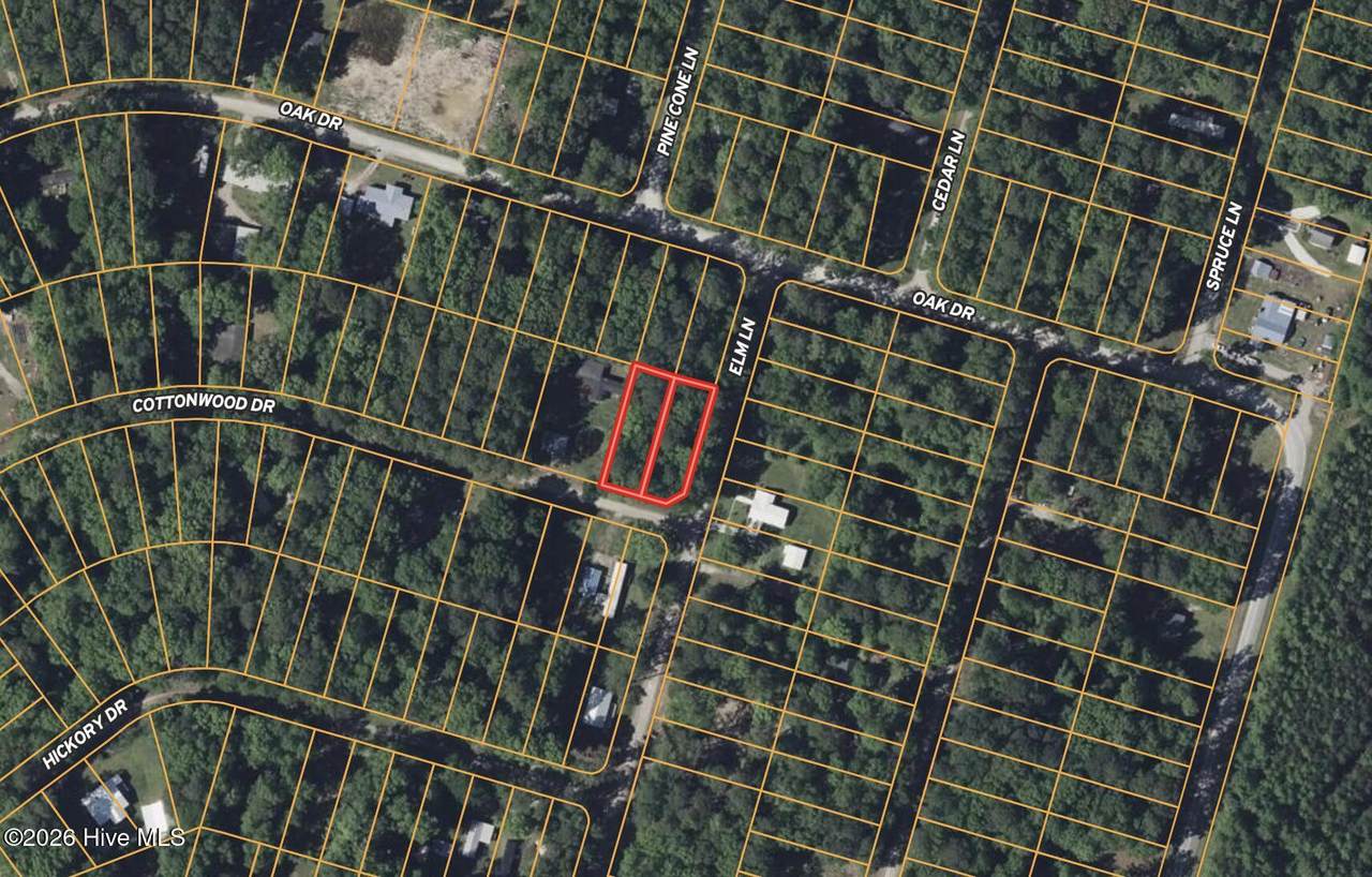 Lot #49&50 Cottonwood Drive - Photo 1