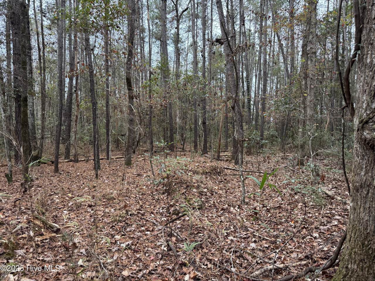 0 Near 715 Nc Hwy 133 - Photo 1