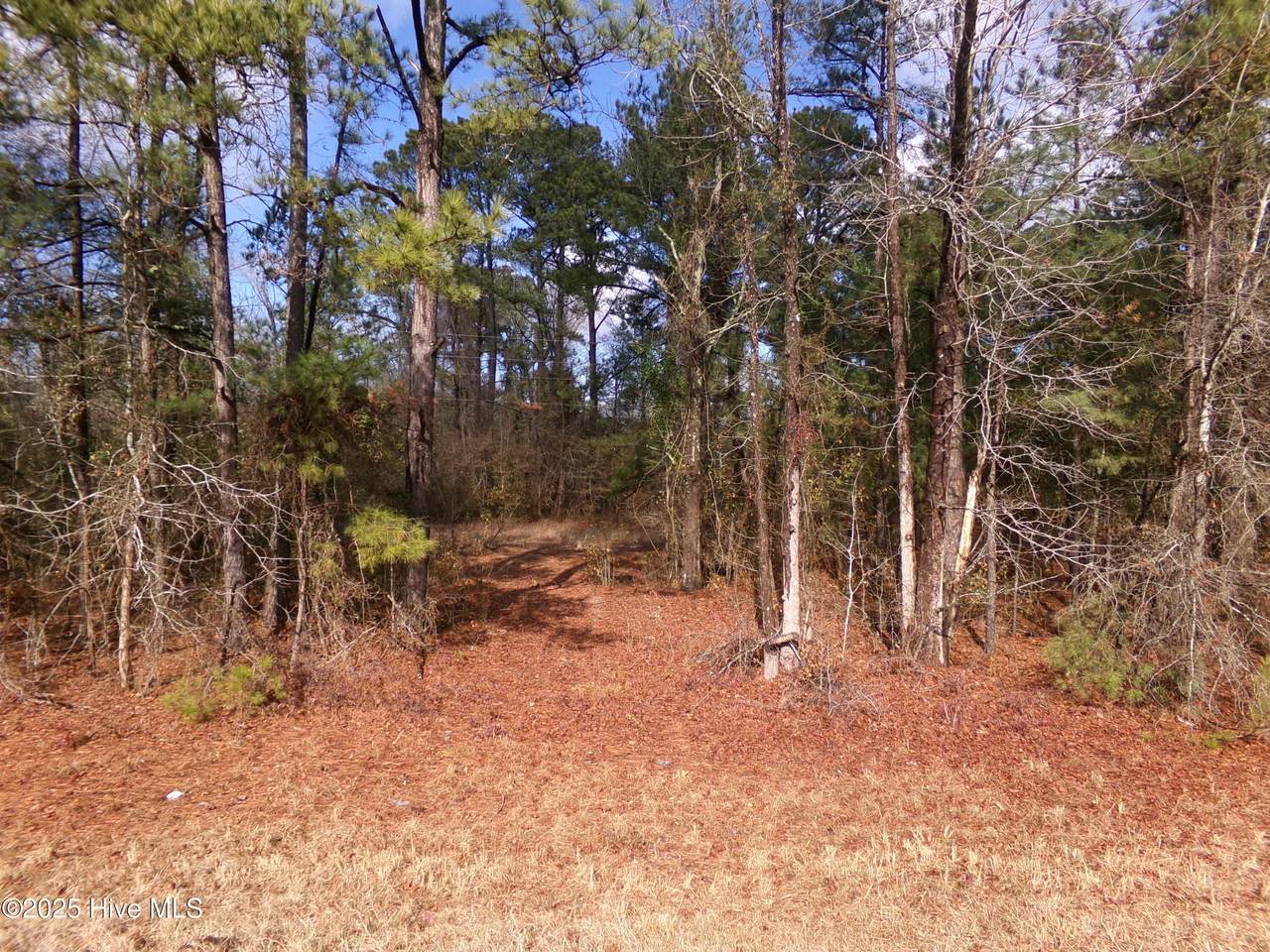 Near 273 Kenric Road - Photo 1