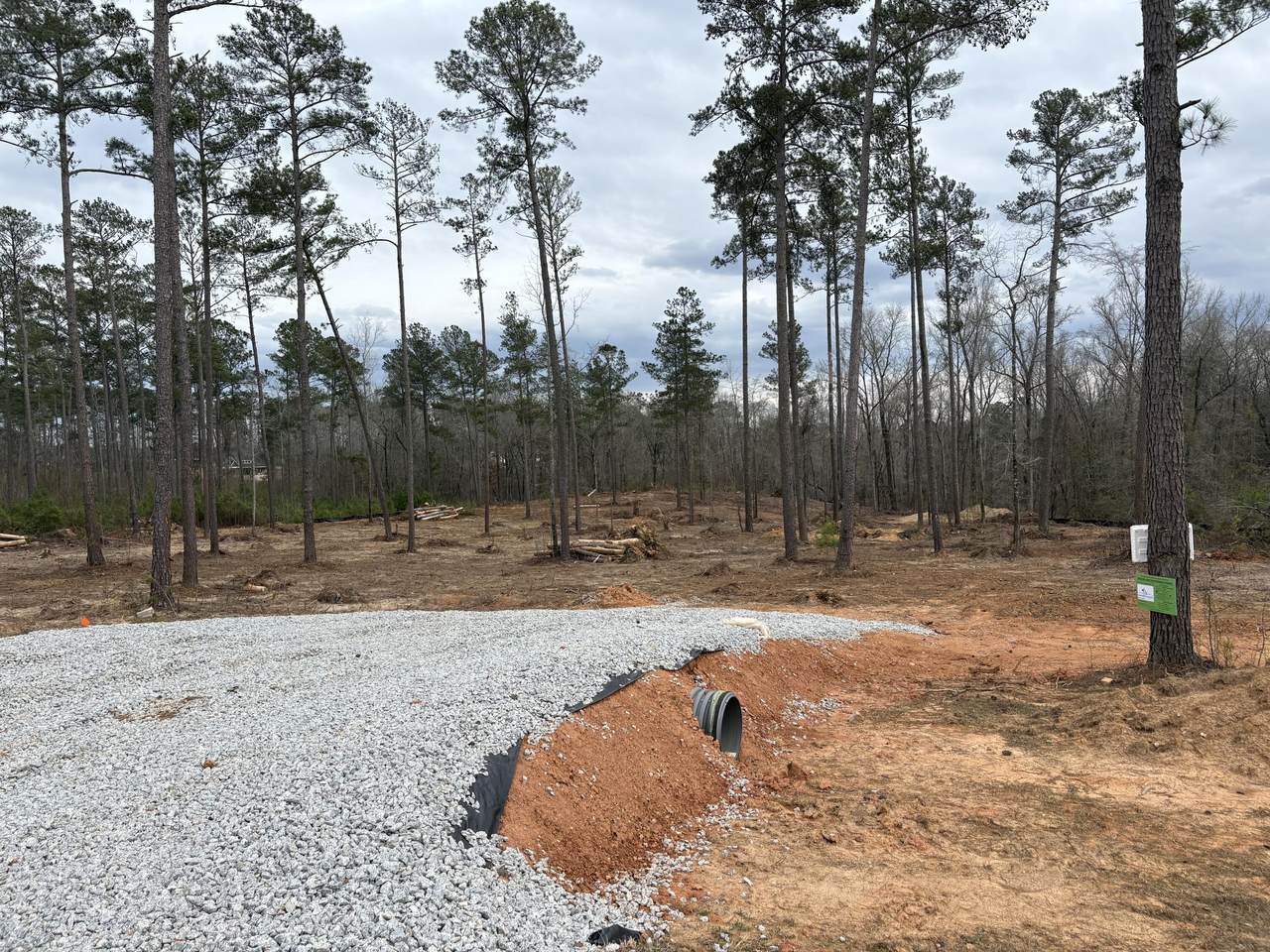 5672 White Oak Road - Photo 1