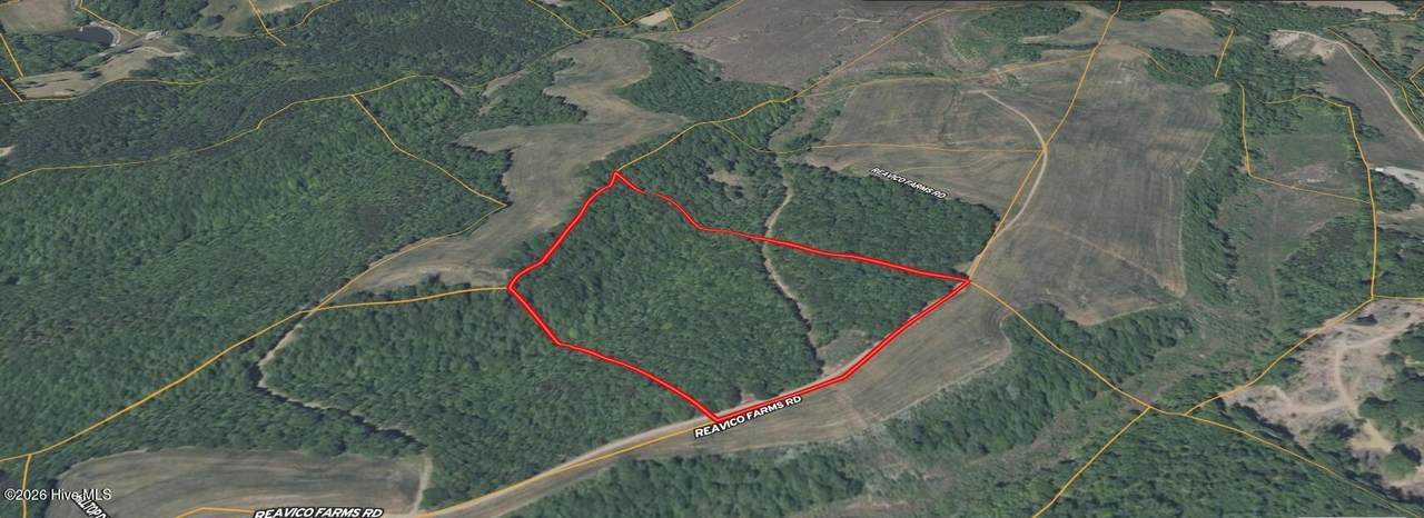 0 Reavico Farm Road - Photo 1