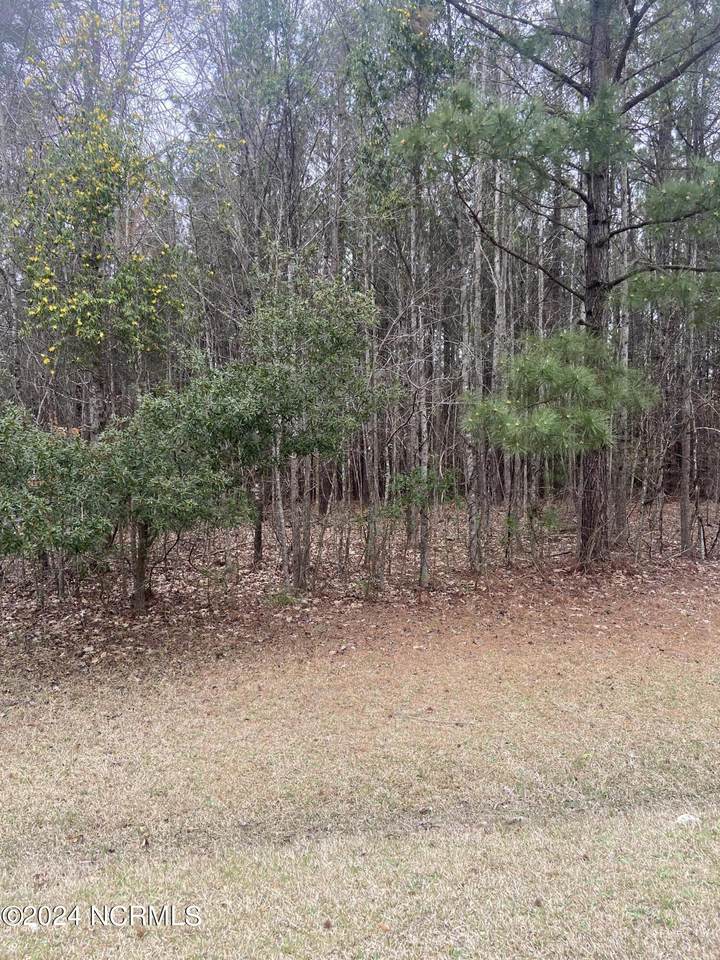 Lot 88 Johnson Drive - Photo 1