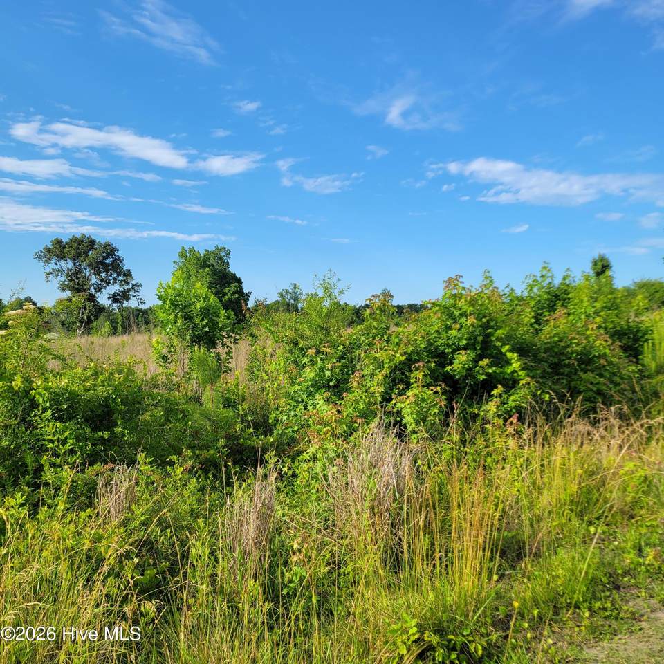 3215492710 Little Kelly Road - Photo 1