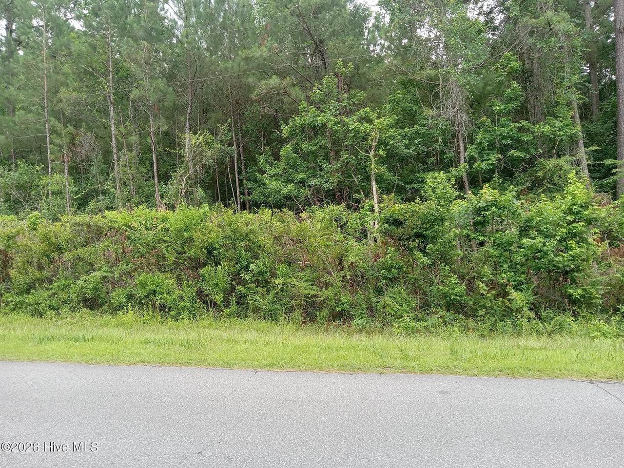 6735 Richardson Drive - Photo 1