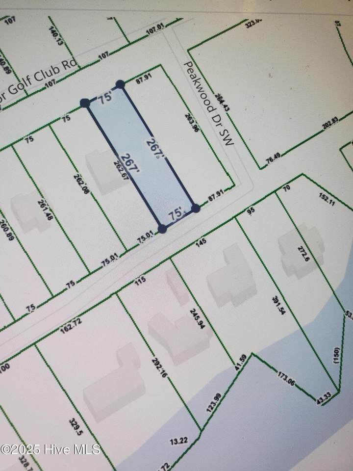 9093 Ocean Harbour Golf Club Road - Photo 1