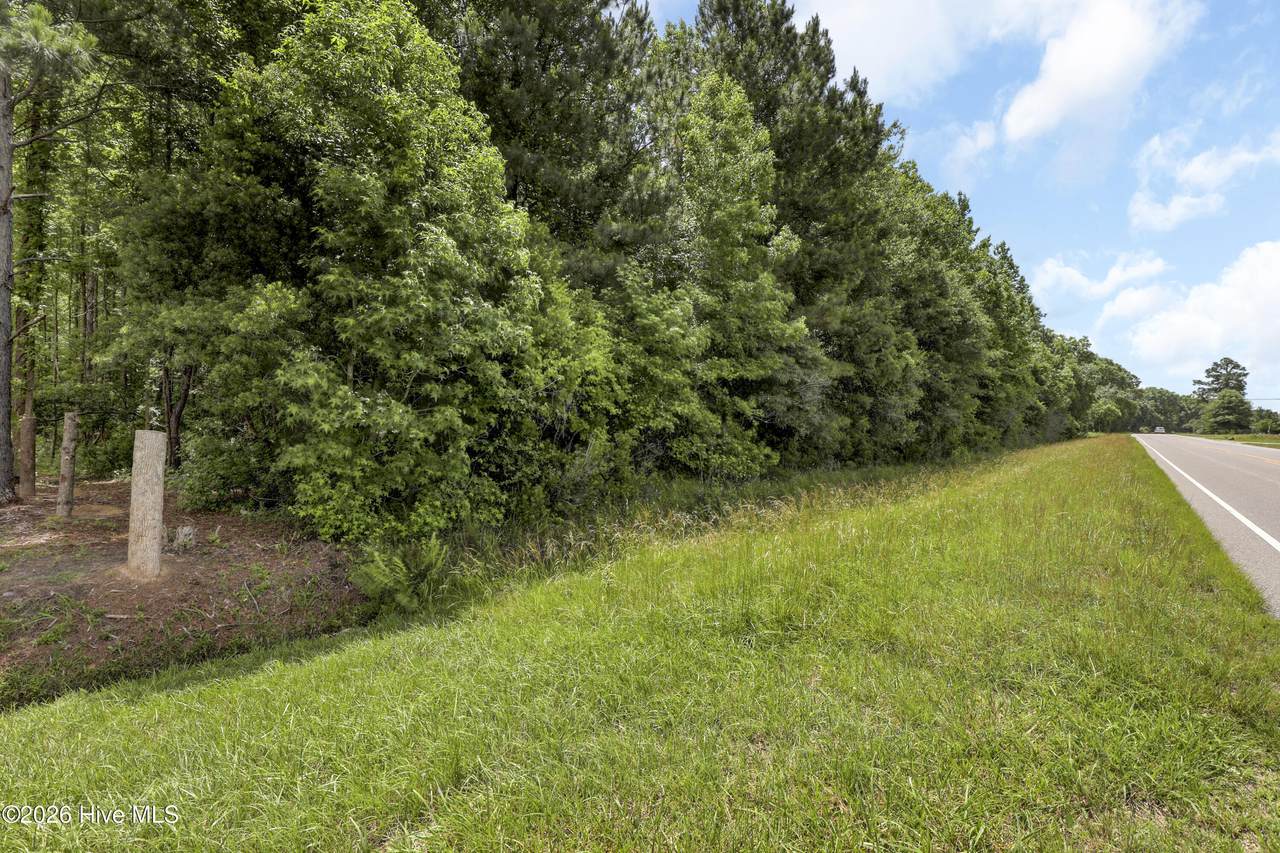 Lot 6 Us Hwy 117 S - Photo 1