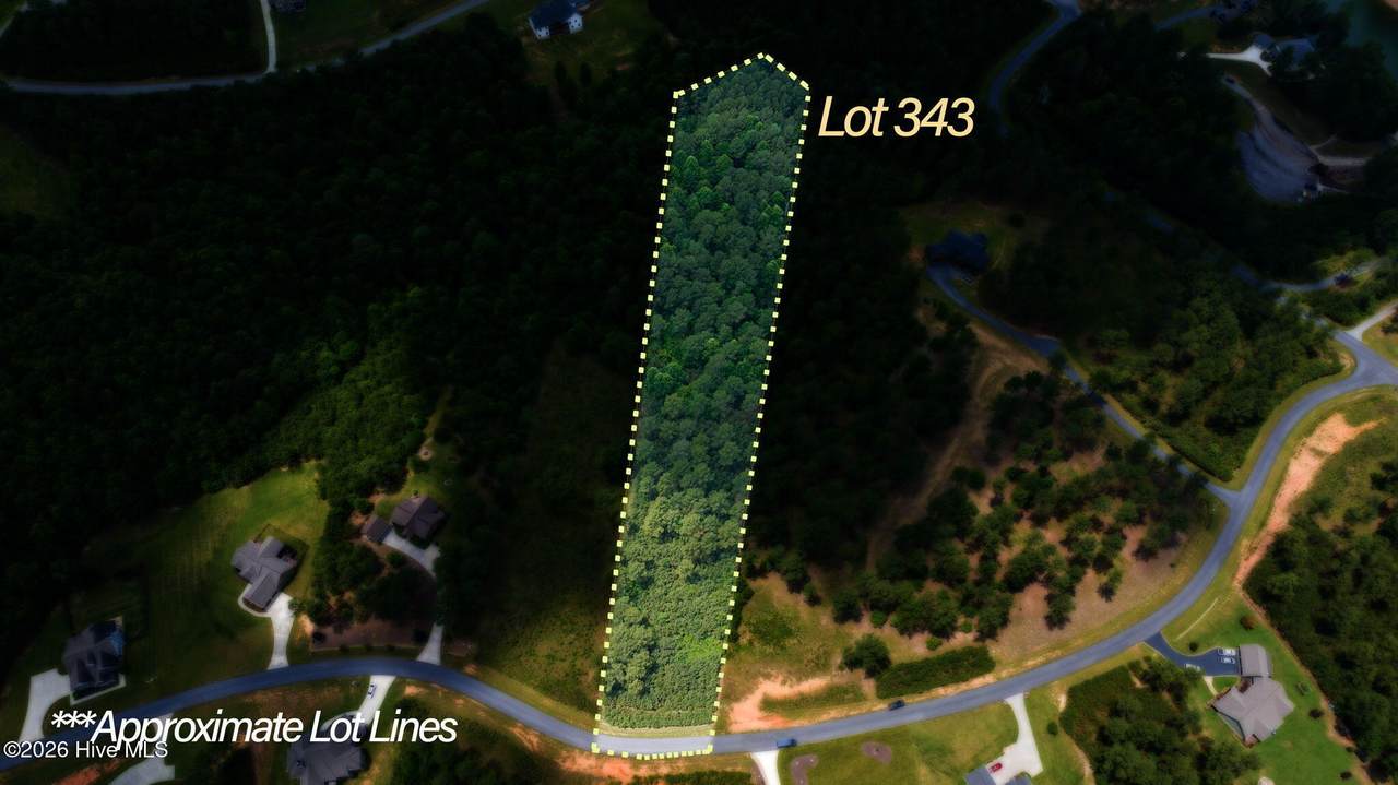 Lot 343 Loop Lane - Photo 1