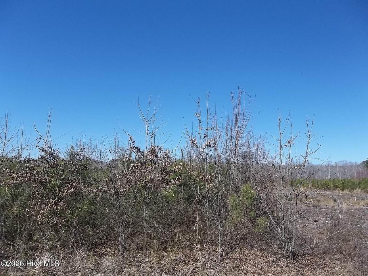 Tbd Boat Ramp Road - Photo 1